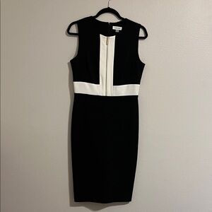 Elegant Black and White Sleeveless Dress, Calvin Klein, size 6